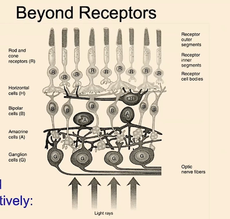 Beyond Receptors
